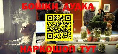дурь Славгород