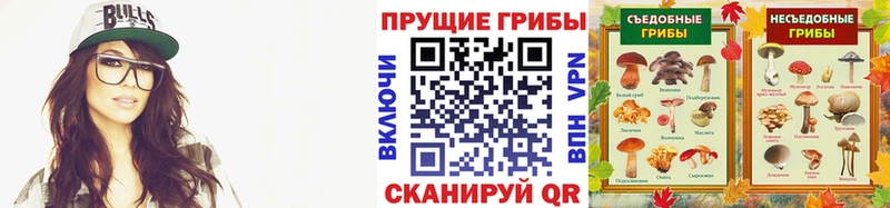 Псилоцибиновые грибы мухоморы где купить наркоту Петровск